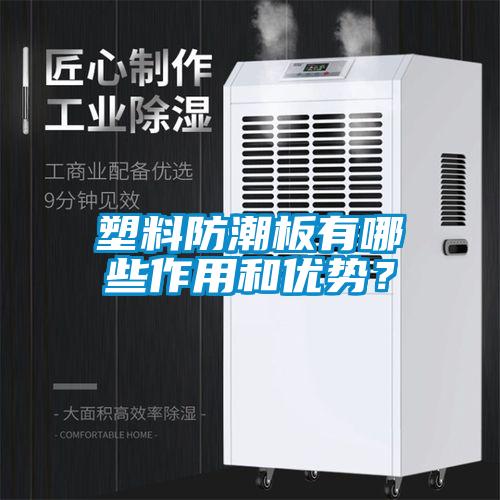 塑料防潮板有哪些作用和優(yōu)勢(shì)？