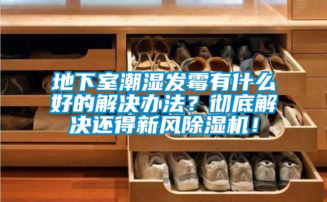 地下室潮濕發(fā)霉有什么好的解決辦法？徹底解決還得新風(fēng)除濕機(jī)！