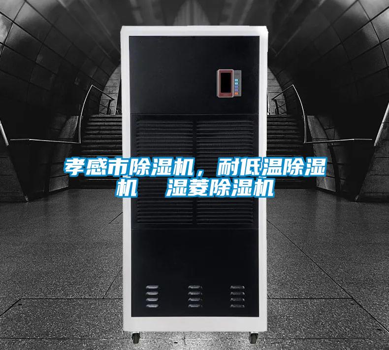 孝感市除濕機(jī)，耐低溫除濕機(jī)  濕菱除濕機(jī)