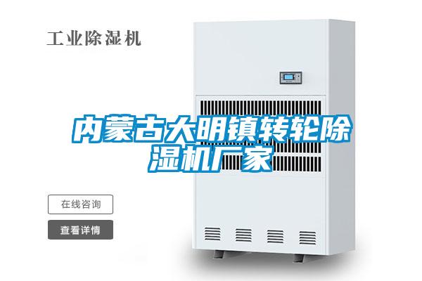 內(nèi)蒙古大明鎮(zhèn)轉(zhuǎn)輪除濕機(jī)廠家