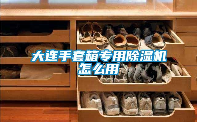 大連手套箱專(zhuān)用除濕機(jī)怎么用
