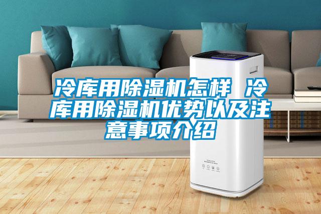 冷庫用除濕機(jī)怎樣 冷庫用除濕機(jī)優(yōu)勢以及注意事項(xiàng)介紹