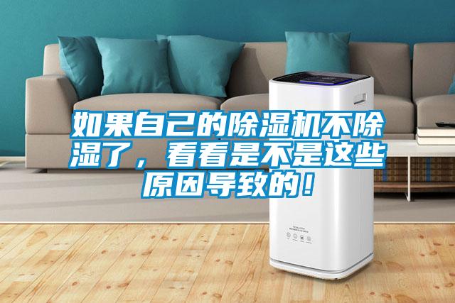 如果自己的除濕機不除濕了，看看是不是這些原因?qū)е碌模?></div>
								<div   id=