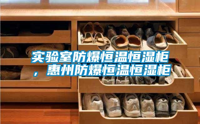 實驗室防爆恒溫恒濕柜，惠州防爆恒溫恒濕柜