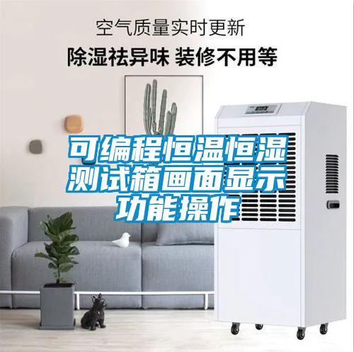 可編程恒溫恒濕測(cè)試箱畫(huà)面顯示功能操作