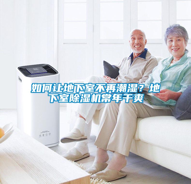如何讓地下室不再潮濕？地下室除濕機常年干爽
