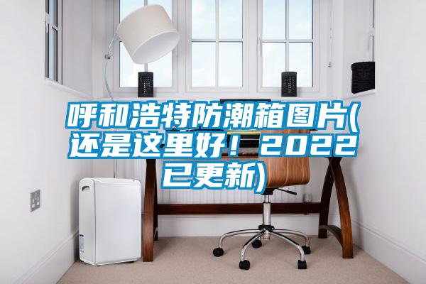 呼和浩特防潮箱圖片(還是這里好！2022已更新)