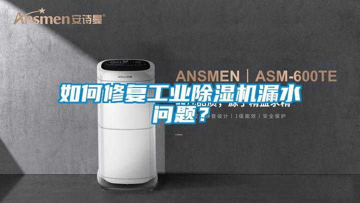 如何修復(fù)工業(yè)除濕機漏水問題？