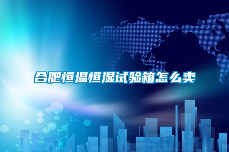 合肥恒溫恒濕試驗箱怎么賣