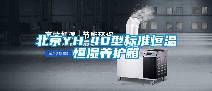 北京YH-40型標(biāo)準恒溫恒濕養(yǎng)護箱