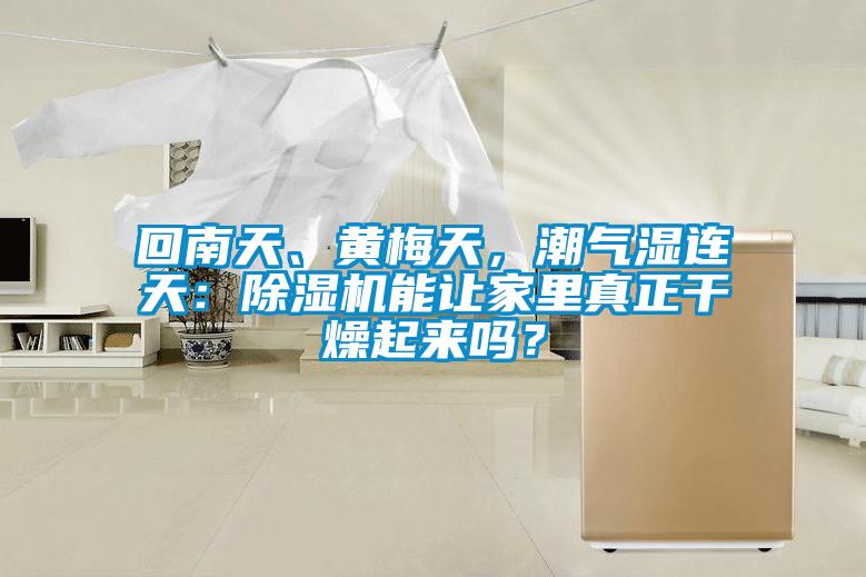 回南天、黃梅天，潮氣濕連天：除濕機(jī)能讓家里真正干燥起來嗎？