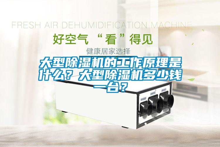 大型除濕機(jī)的工作原理是什么？大型除濕機(jī)多少錢(qián)一臺(tái)？
