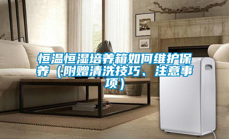 恒溫恒濕培養(yǎng)箱如何維護(hù)保養(yǎng)（附贈清洗技巧、注意事項(xiàng)）