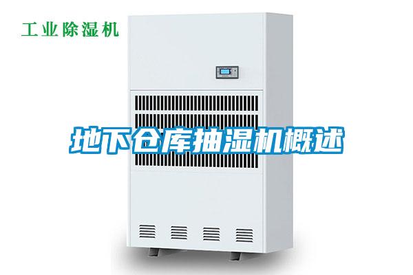 地下倉庫抽濕機(jī)概述