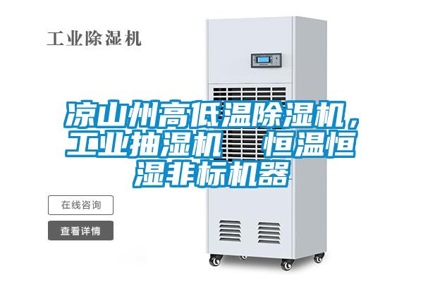涼山州高低溫除濕機(jī)，工業(yè)抽濕機(jī)  恒溫恒濕非標(biāo)機(jī)器