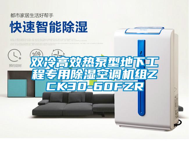 雙冷高效熱泵型地下工程專(zhuān)用除濕空調(diào)機(jī)組ZCK30-60FZR