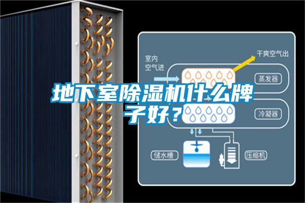 地下室除濕機(jī)什么牌子好？