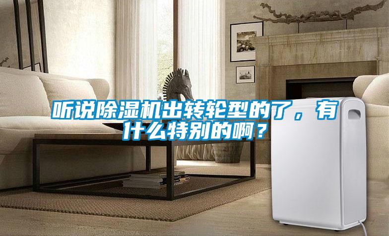 聽說除濕機(jī)出轉(zhuǎn)輪型的了，有什么特別的??？