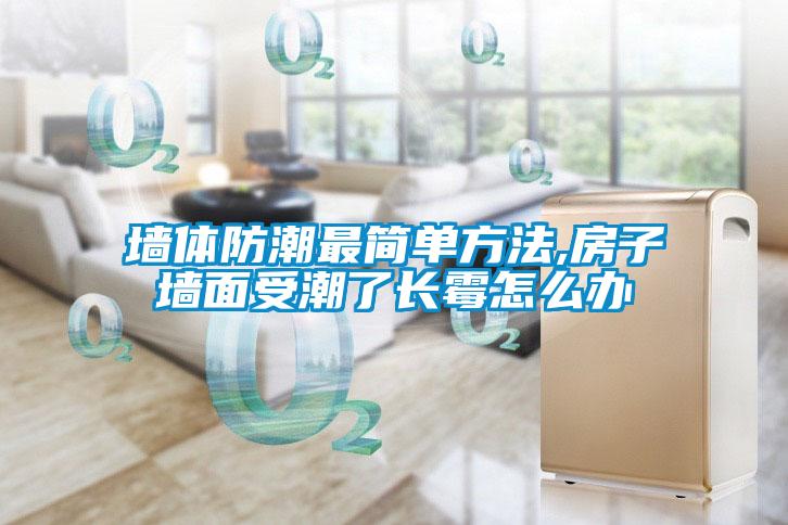 墻體防潮最簡(jiǎn)單方法,房子墻面受潮了長(zhǎng)霉怎么辦