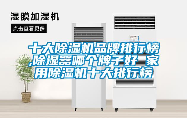 十大除濕機(jī)品牌排行榜,除濕器哪個牌子好 家用除濕機(jī)十大排行榜