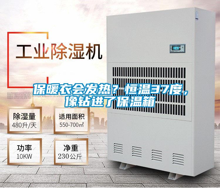 保暖衣會(huì)發(fā)熱？恒溫37度，像鉆進(jìn)了保溫箱
