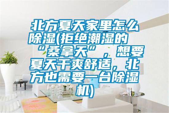 北方夏天家里怎么除濕(拒絕潮濕的“桑拿天”，想要夏天干爽舒適，北方也需要一臺(tái)除濕機(jī))