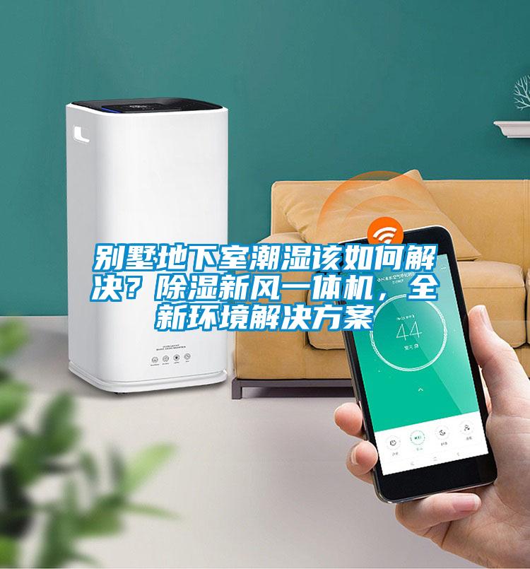 別墅地下室潮濕該如何解決？除濕新風(fēng)一體機(jī)，全新環(huán)境解決方案