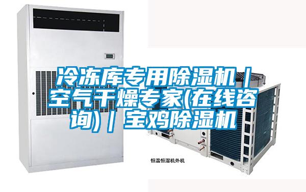 冷凍庫(kù)專(zhuān)用除濕機(jī)｜空氣干燥專(zhuān)家(在線(xiàn)咨詢(xún))｜寶雞除濕機(jī)