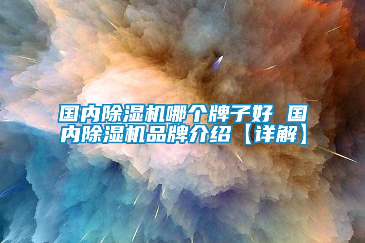 國(guó)內(nèi)除濕機(jī)哪個(gè)牌子好 國(guó)內(nèi)除濕機(jī)品牌介紹【詳解】