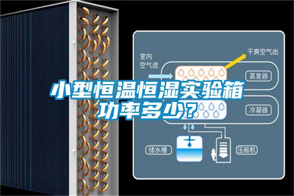 小型恒溫恒濕實驗箱功率多少？