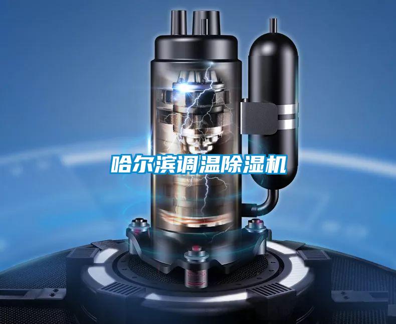 哈爾濱調(diào)溫除濕機