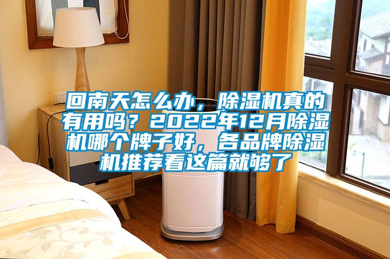 回南天怎么辦，除濕機(jī)真的有用嗎？2022年12月除濕機(jī)哪個(gè)牌子好，各品牌除濕機(jī)推薦看這篇就夠了