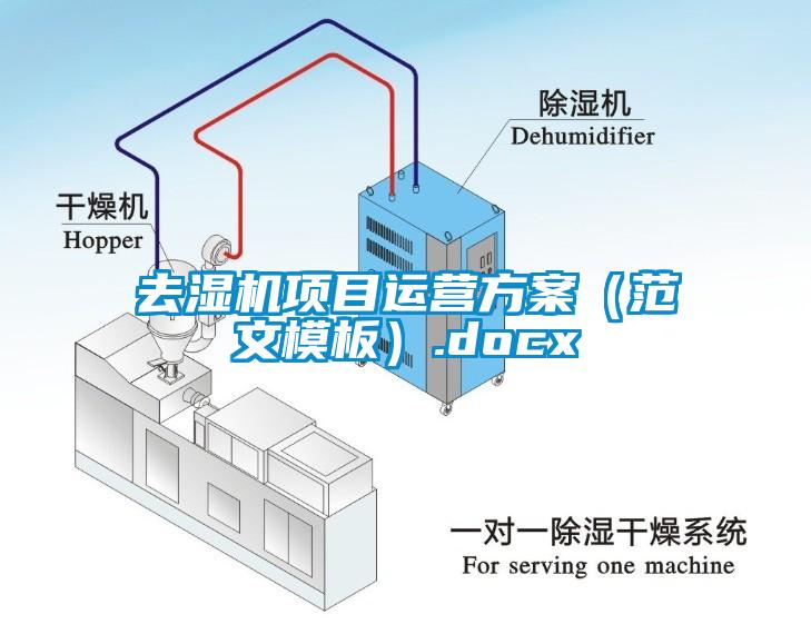 去濕機(jī)項(xiàng)目運(yùn)營(yíng)方案（范文模板）.docx