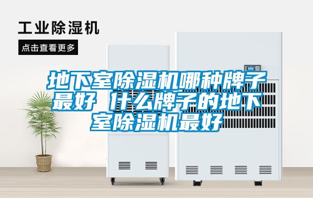 地下室除濕機(jī)哪種牌子最好 什么牌子的地下室除濕機(jī)最好