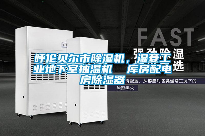 呼倫貝爾市除濕機(jī)，濕菱工業(yè)地下室抽濕機(jī)  庫(kù)房配電房除濕器
