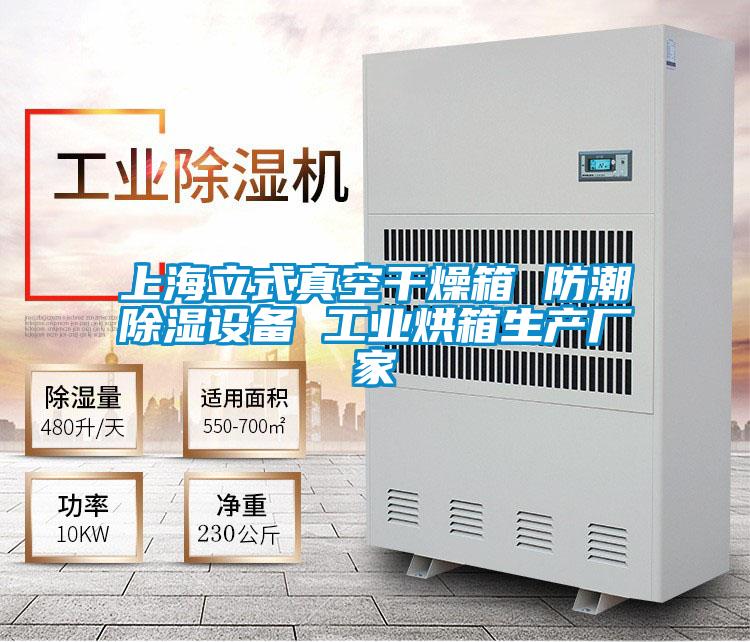 上海立式真空干燥箱 防潮除濕設備 工業(yè)烘箱生產廠家