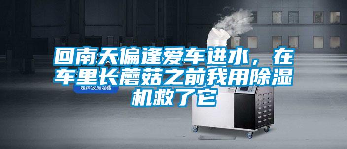 回南天偏逢愛車進(jìn)水，在車?yán)镩L蘑菇之前我用除濕機(jī)救了它