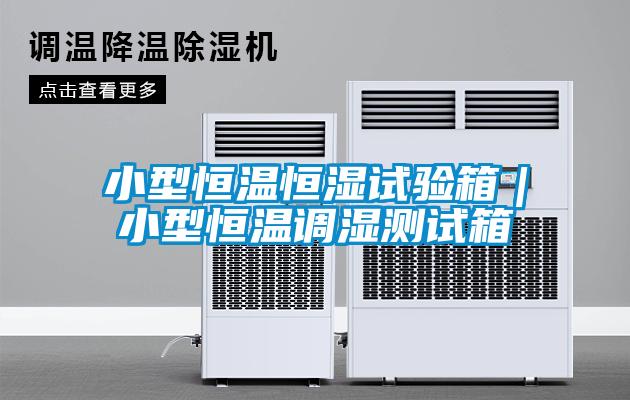 小型恒溫恒濕試驗(yàn)箱｜小型恒溫調(diào)濕測(cè)試箱