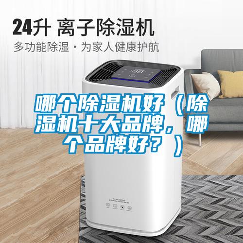 哪個(gè)除濕機(jī)好（除濕機(jī)十大品牌，哪個(gè)品牌好？）