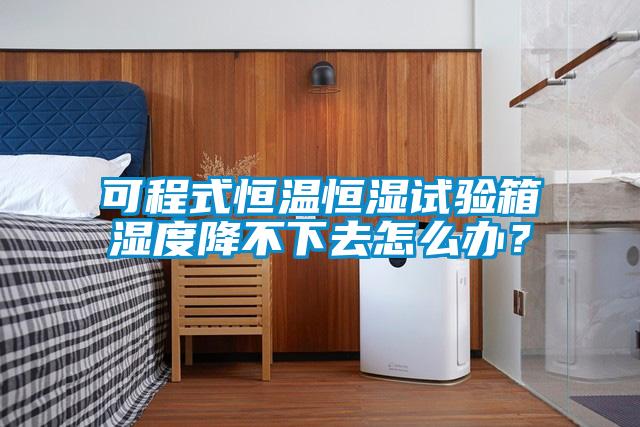 可程式恒溫恒濕試驗(yàn)箱濕度降不下去怎么辦？