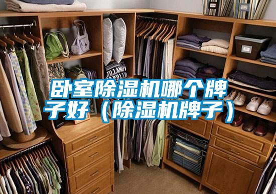 臥室除濕機(jī)哪個(gè)牌子好（除濕機(jī)牌子）