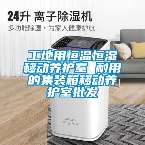工地用恒溫恒濕移動養(yǎng)護室 耐用的集裝箱移動養(yǎng)護室批發(fā)