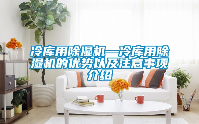 冷庫用除濕機(jī)—冷庫用除濕機(jī)的優(yōu)勢以及注意事項(xiàng)介紹