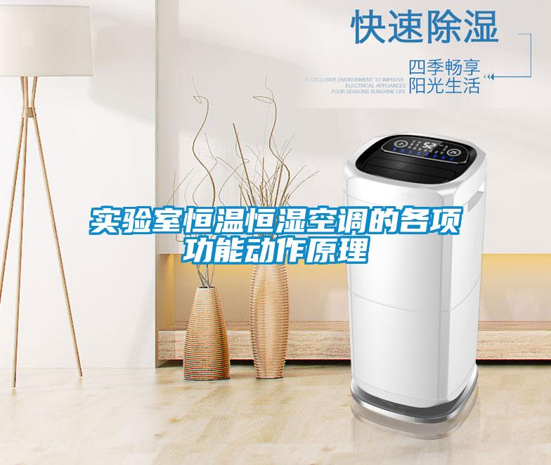 實(shí)驗(yàn)室恒溫恒濕空調(diào)的各項(xiàng)功能動(dòng)作原理