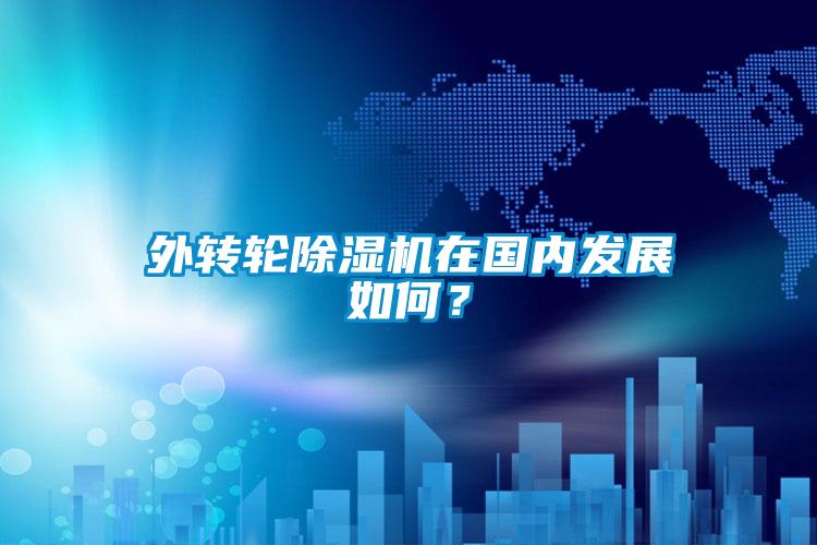 外轉(zhuǎn)輪除濕機(jī)在國(guó)內(nèi)發(fā)展如何？