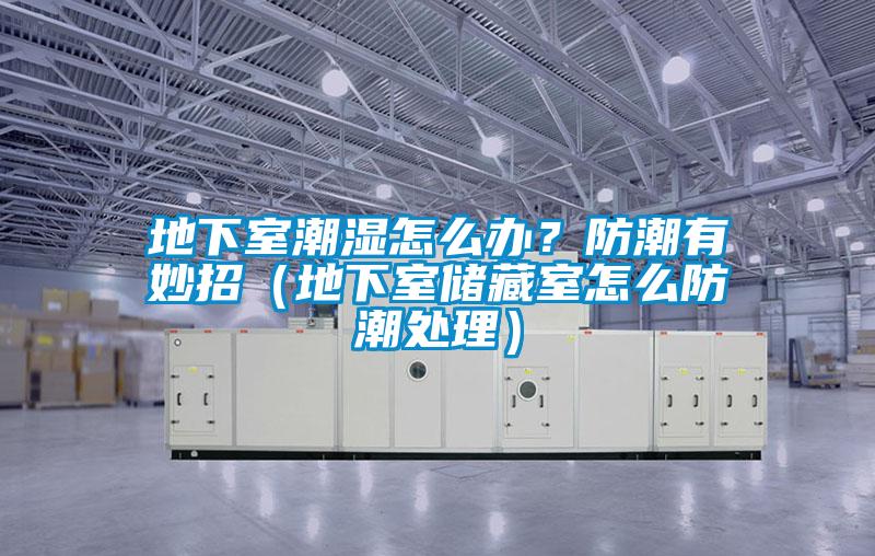 地下室潮濕怎么辦？防潮有妙招（地下室儲藏室怎么防潮處理）