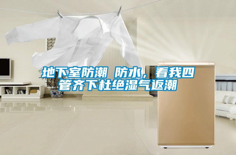 地下室防潮≠防水，看我四管齊下杜絕濕氣返潮