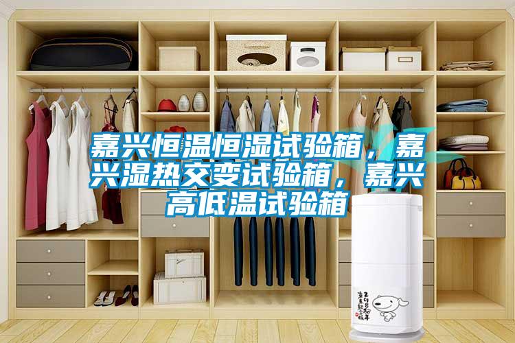 嘉興恒溫恒濕試驗(yàn)箱，嘉興濕熱交變?cè)囼?yàn)箱，嘉興高低溫試驗(yàn)箱