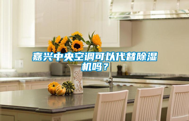 嘉興中央空調(diào)可以代替除濕機(jī)嗎？