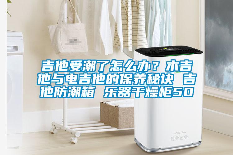 吉他受潮了怎么辦？木吉他與電吉他的保養(yǎng)秘訣 吉他防潮箱 樂器干燥柜50